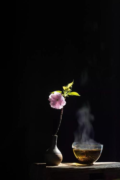 自律就是自由!中考作文参考范文《写给xxx的一封信》