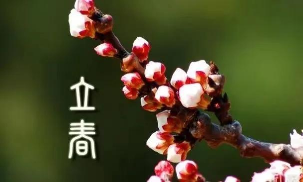 今日立春发朋友圈心情说说,适合立春发朋友圈文案句子