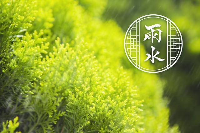 二十四节气雨水图片带文字(24节气雨水节气朋友圈图片素材)