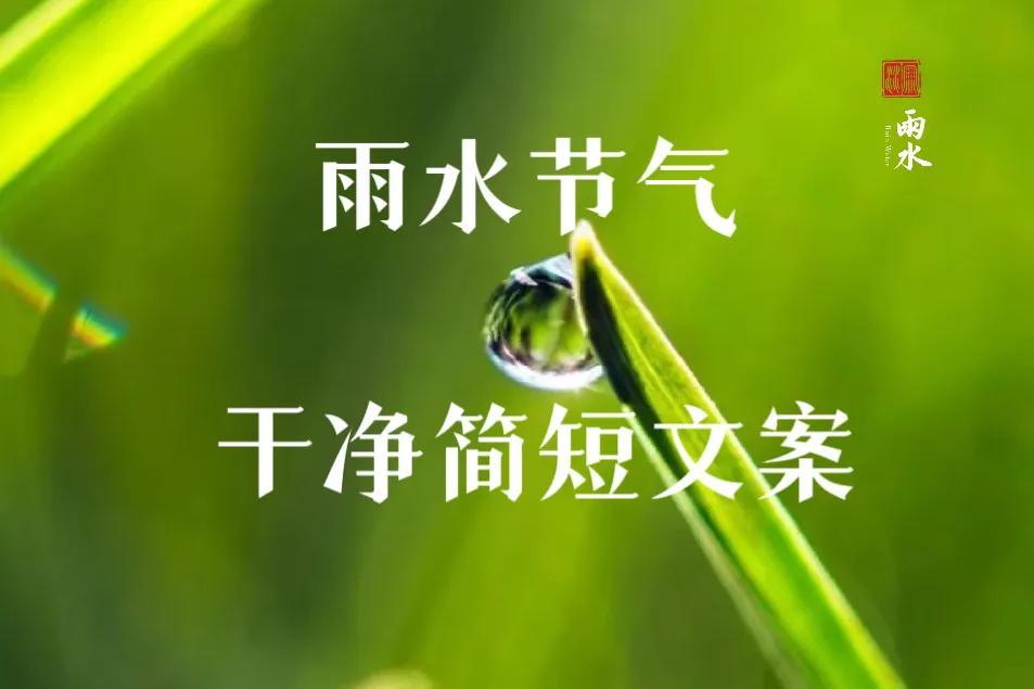 雨水节气朋友圈文案简短温馨(适合雨水节气发朋友圈的句子)