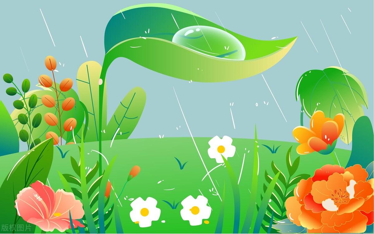 雨水节气朋友圈文案简短温馨(适合雨水节气发朋友圈的句子)