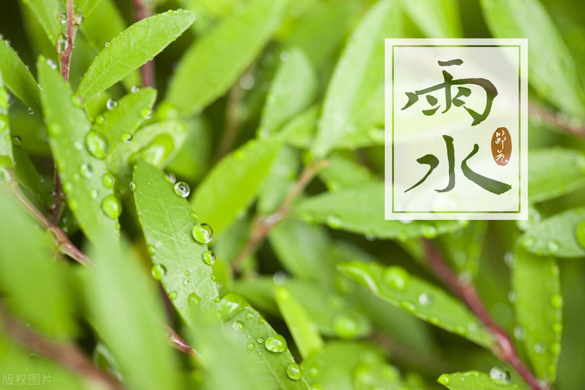 雨水节气朋友圈文案简短温馨(适合雨水节气发朋友圈的句子)