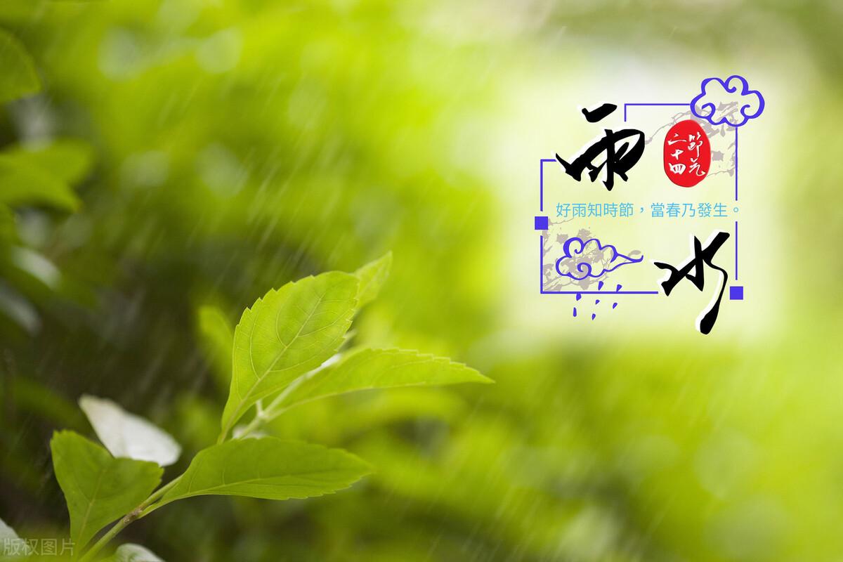 雨水节气朋友圈文案简短温馨(适合雨水节气发朋友圈的句子)