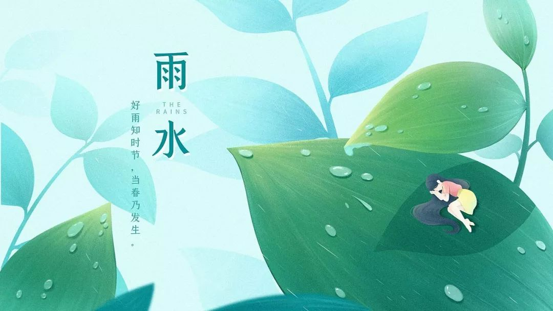 雨水节气适合种什么蔬菜?