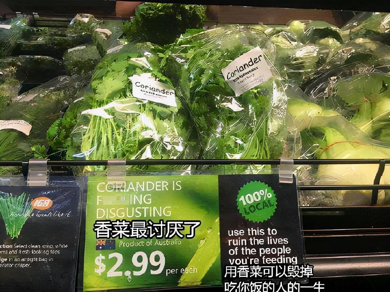 世界讨厌香菜日是哪一天?世界讨厌香菜日的由来