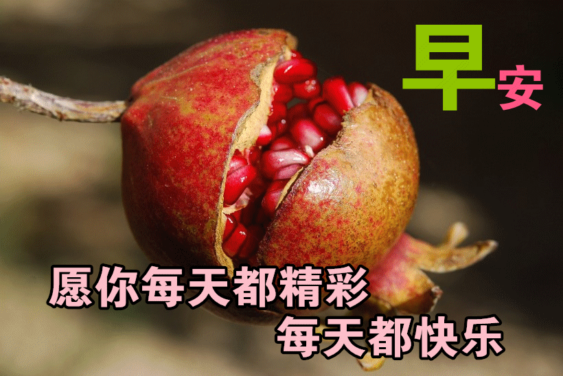 2022立冬早上好图片大全(今日立冬图片带字说说)