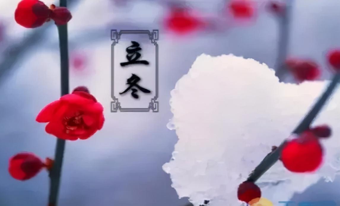 2022立冬早上好图片大全(今日立冬图片带字说说)