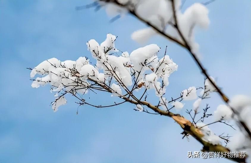 2022年立冬是什么时候几点几分？（立冬是几月几日2022）