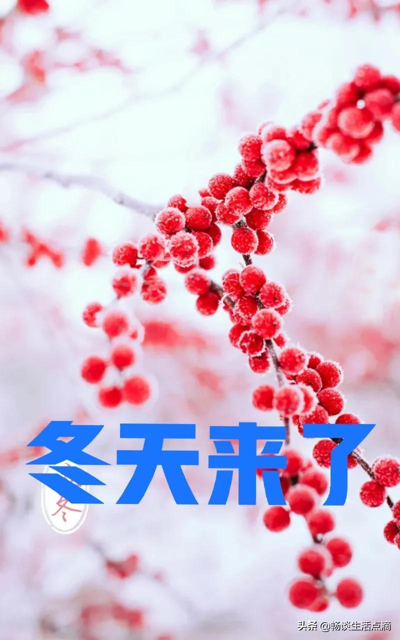 立冬打雷民间有什么说法(立冬打雷要反春的意思)