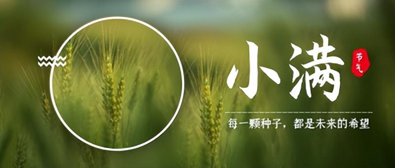 二十四节气为什么没有大满(为什么没有大满节气)