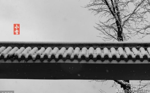 “小雪节到下大雪，大雪节到没了雪”是什么意思？