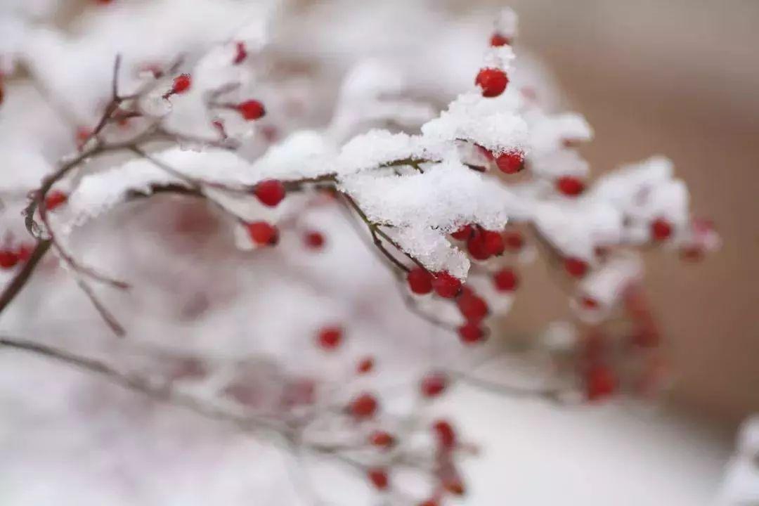 大雪节气习俗有哪些(24节气大雪节气有啥讲究)