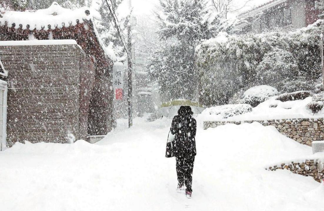 大雪节气习俗有哪些(24节气大雪节气有啥讲究)