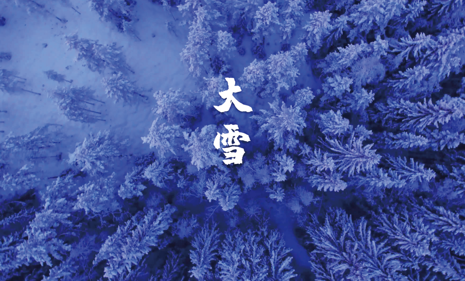 最经典的十首大雪节气诗词(古人描写大雪节气的经典诗句)