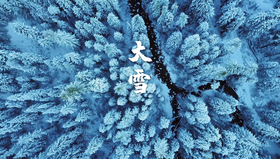 最经典的十首大雪节气诗词(古人描写大雪节气的经典诗句)