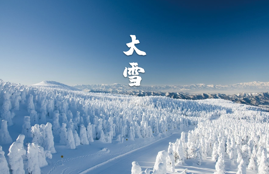最经典的十首大雪节气诗词(古人描写大雪节气的经典诗句)