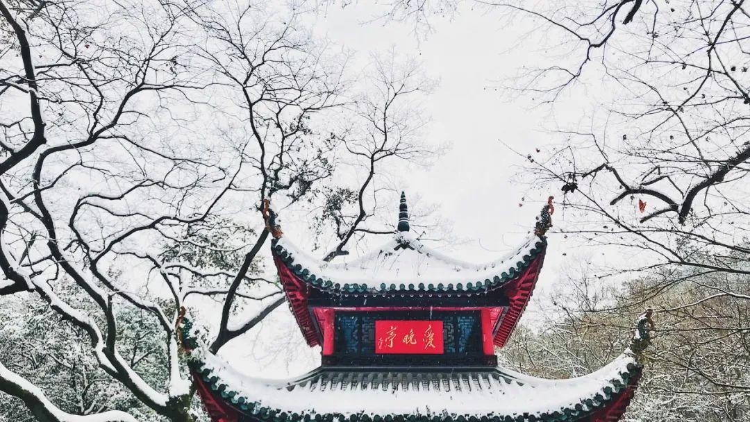 冬至的古诗10首诗词佳句(关于冬至的诗句古诗大全)