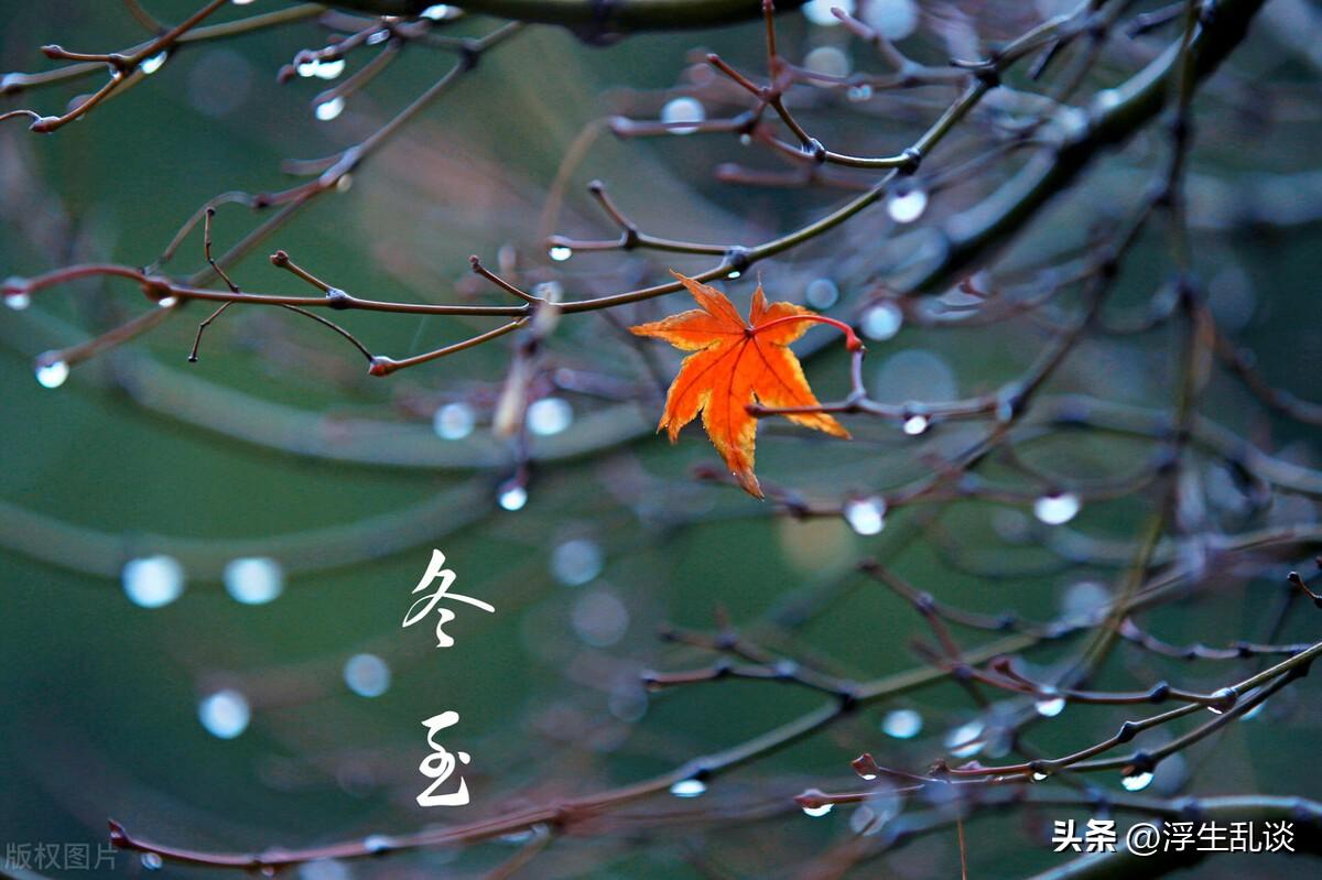 冬至文案短句干净治愈温柔(冬至发朋友圈的语言)