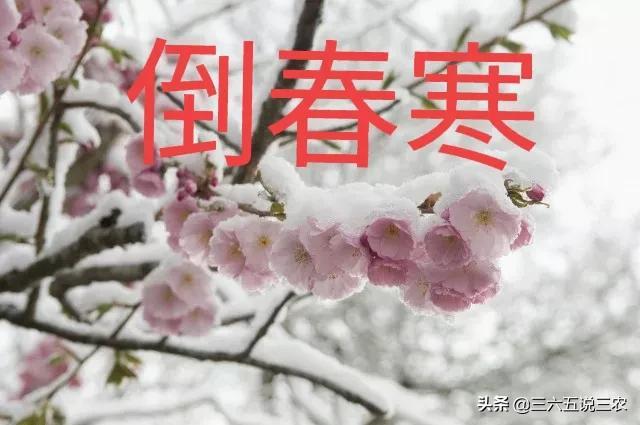 冬至打雷是什么征兆(冬至打雷民间有什么说法吗)