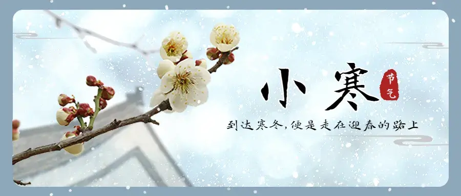 关于小寒节气古诗词精选(小寒节气的优美诗词大全)