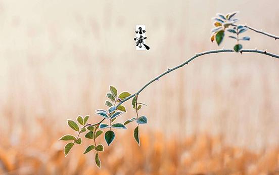 小寒图片大全高清唯美(二十四节气之小寒图片)