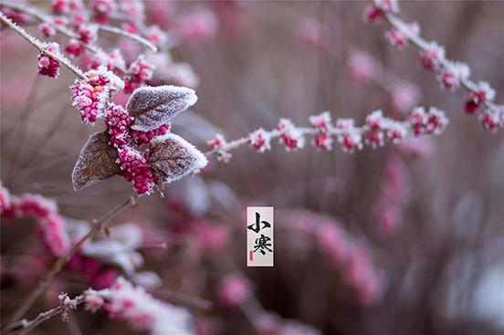 小寒图片大全高清唯美(二十四节气之小寒图片)