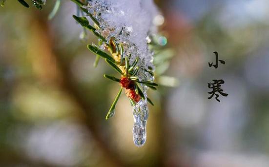 小寒图片大全高清唯美(二十四节气之小寒图片)