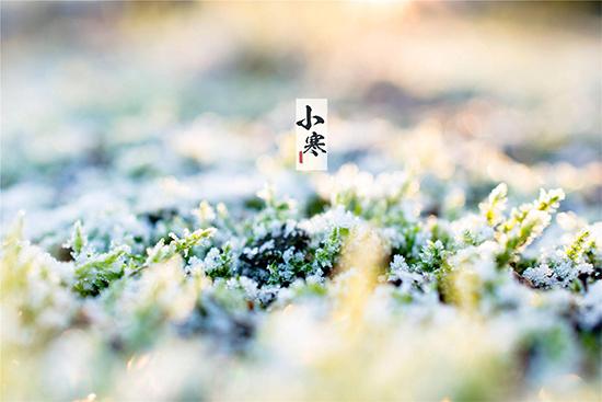 小寒图片大全高清唯美(二十四节气之小寒图片)