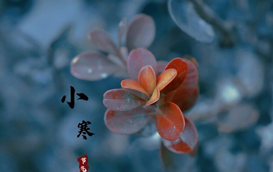 小寒图片大全高清唯美(二十四节气之小寒图片)