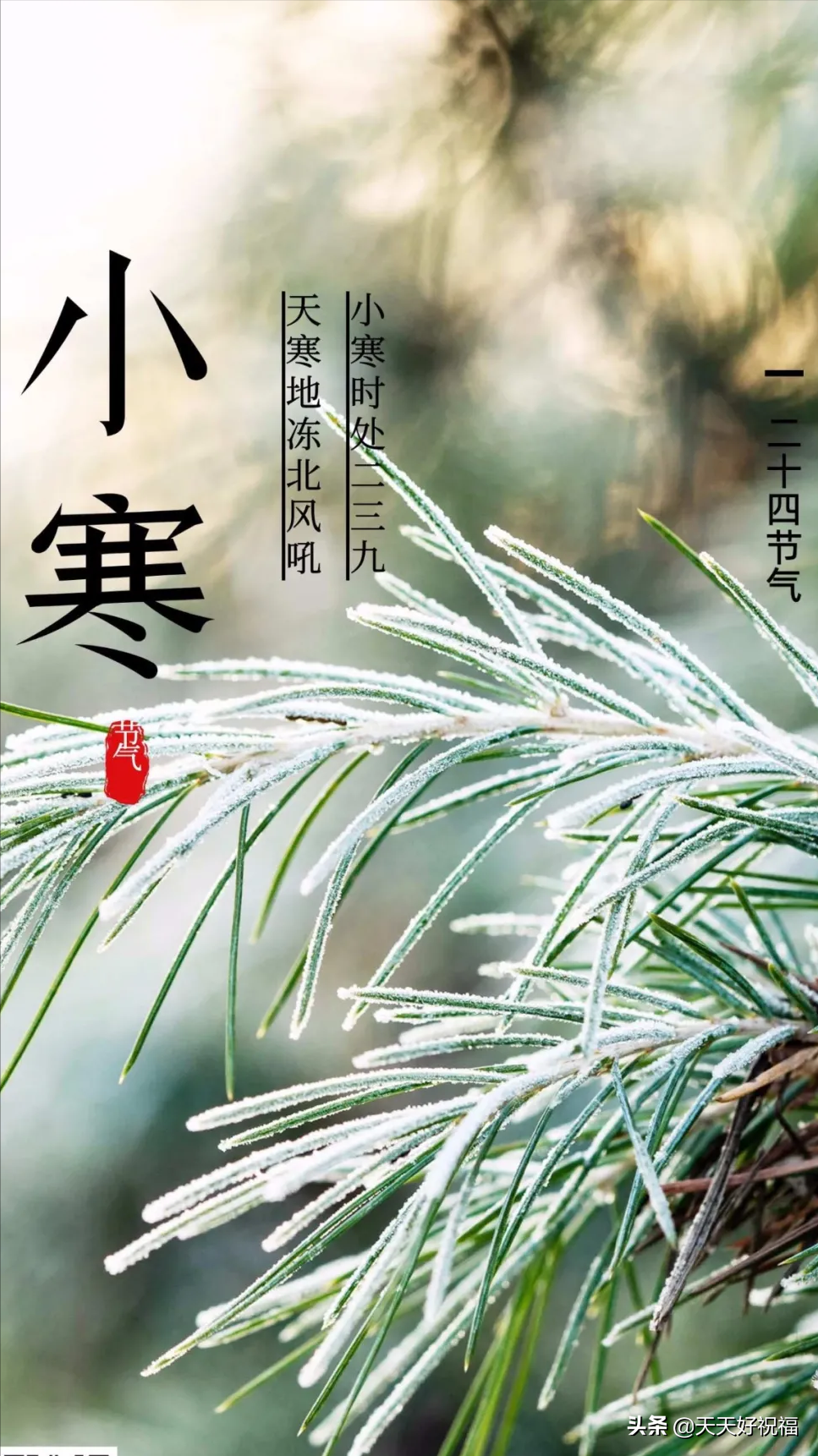 小寒朋友圈说说的好句子大全(关于小寒的朋友圈文案图片大全)