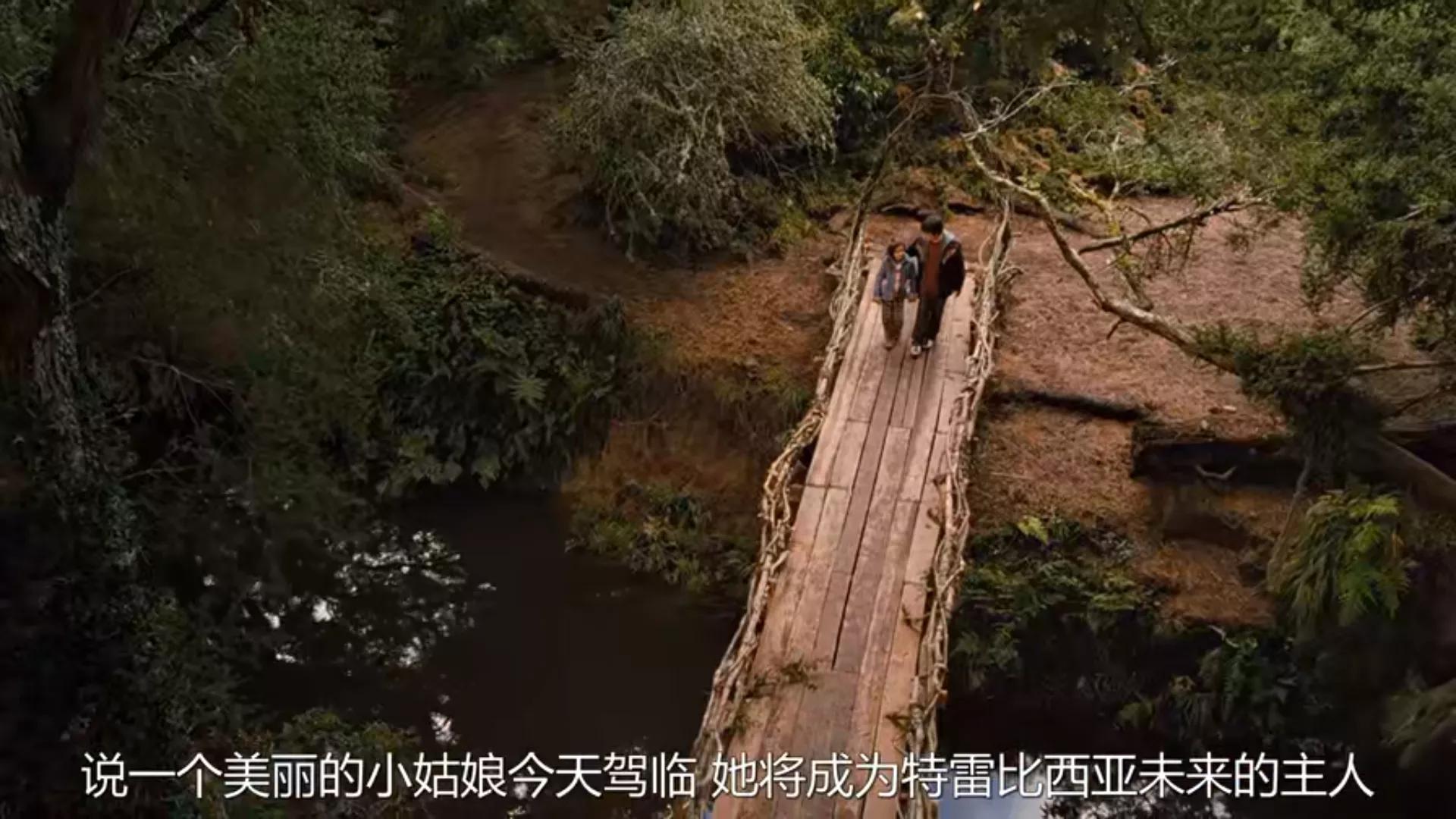仙境之桥观后感,友情就是最好的童话