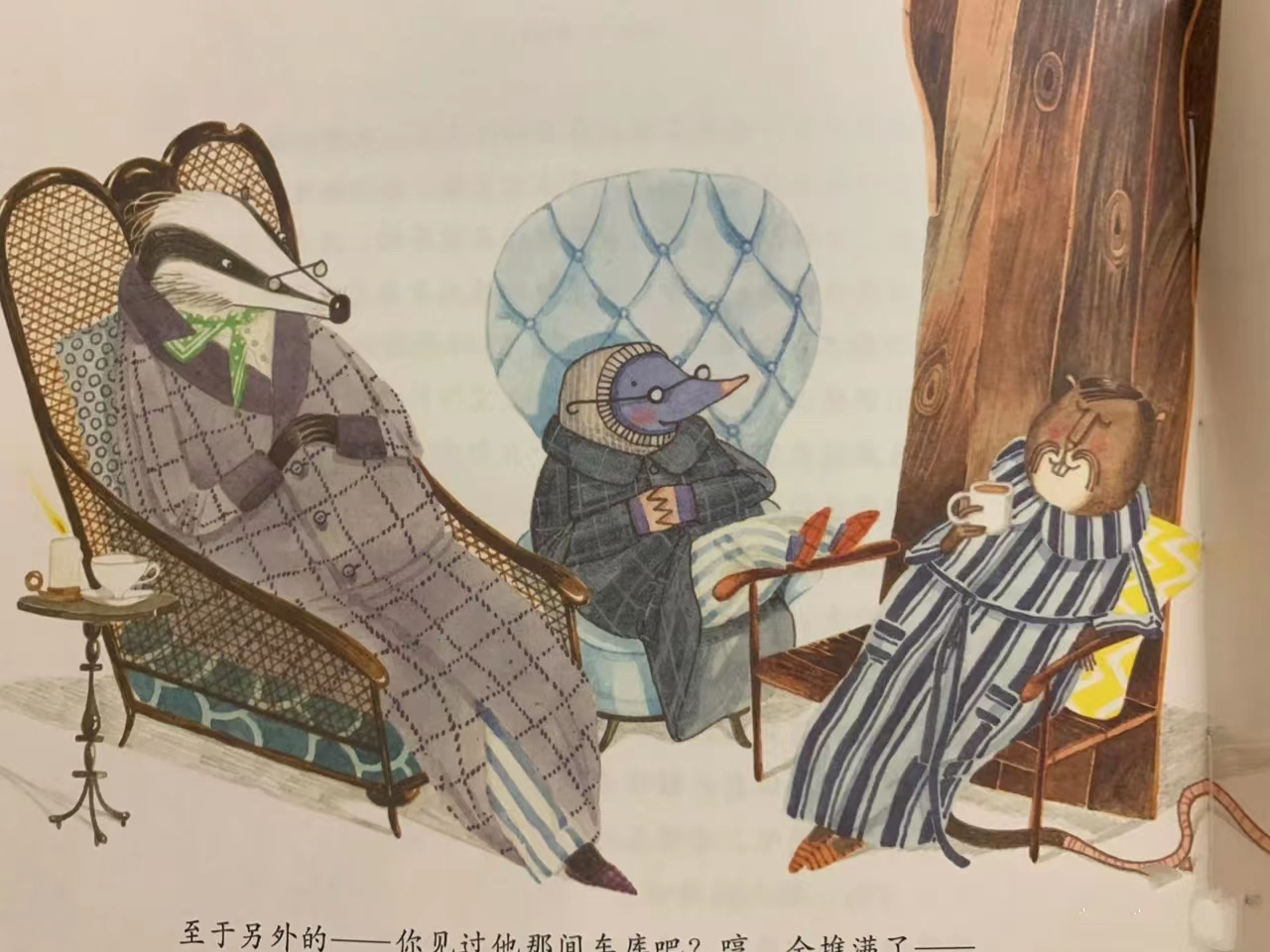 《柳林风声》的读后感,一本讲述童话故事的有趣书籍