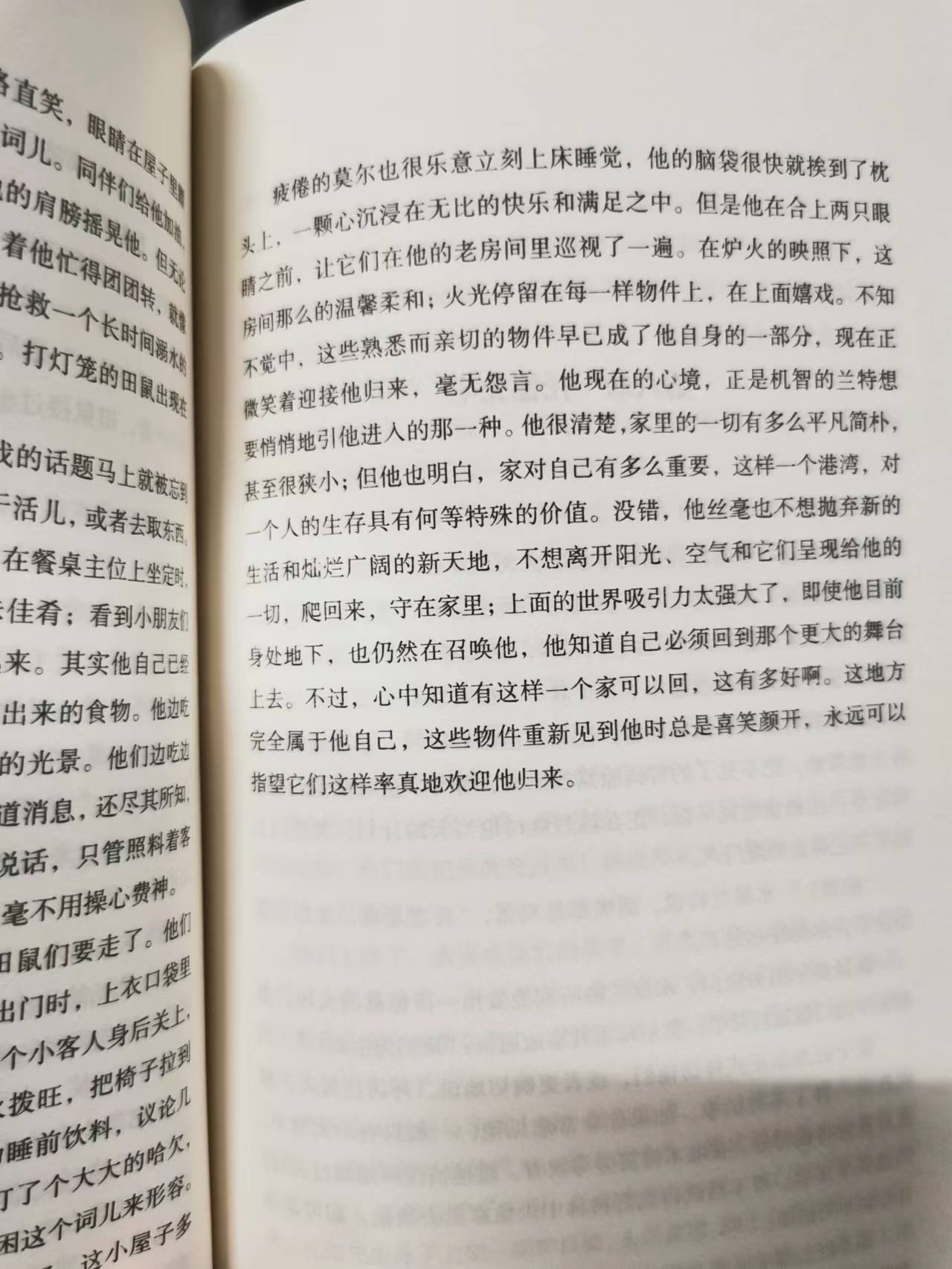 《柳林风声》的读后感,一本讲述童话故事的有趣书籍