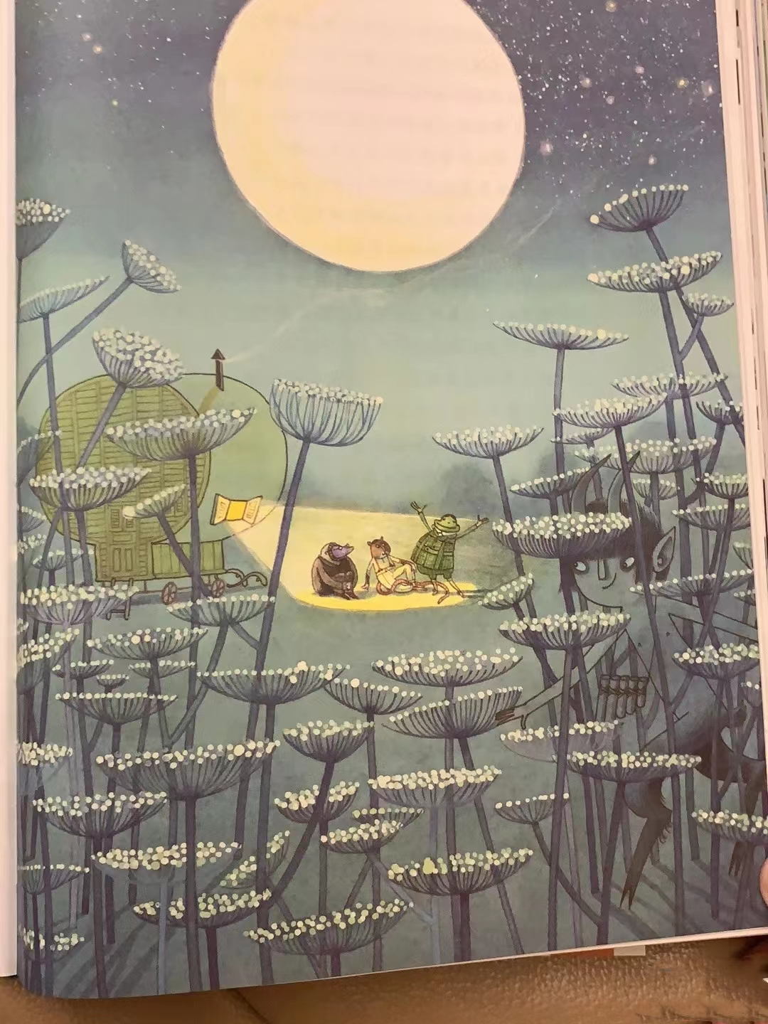 《柳林风声》的读后感,一本讲述童话故事的有趣书籍