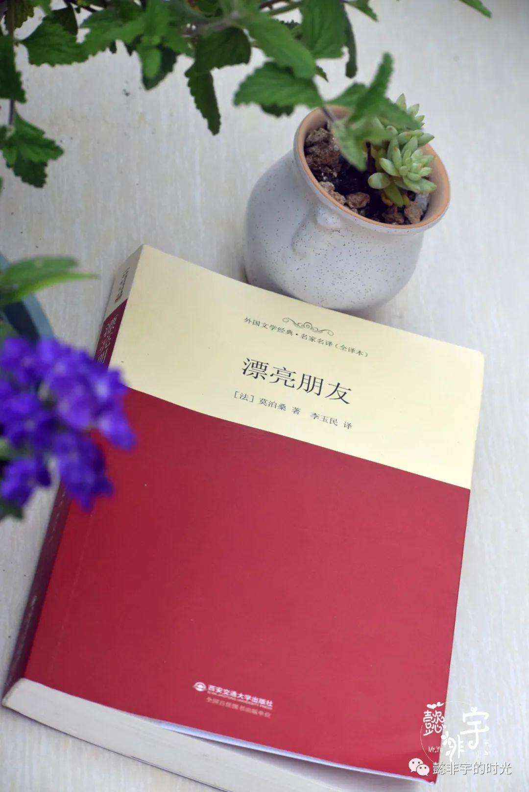 漂亮朋友读后感(无才能的人走到人生巅峰)