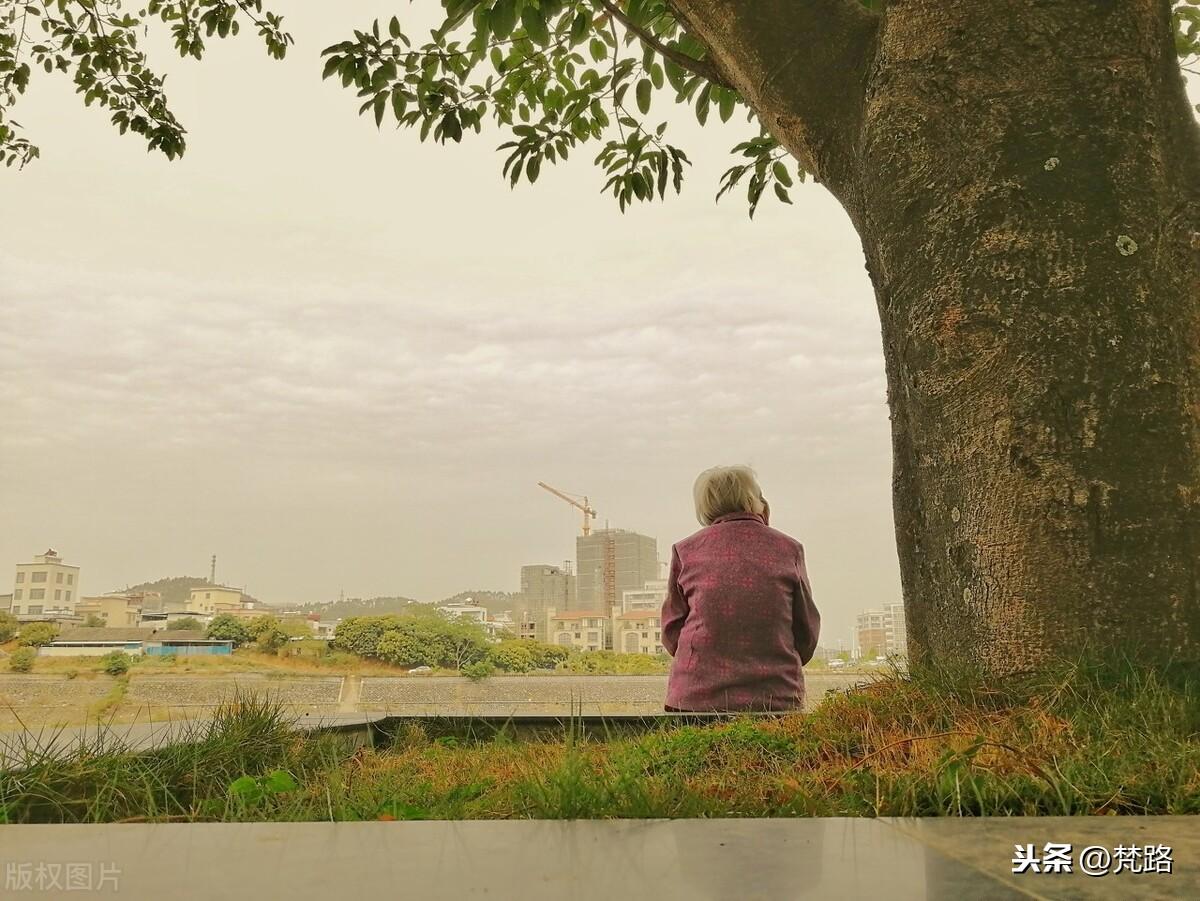 橘子味的夏天读后感(致,这个难忘的夏天)