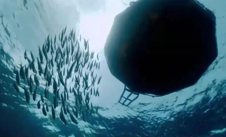 《老人与海》经典书评(人可以被毁灭,但不可以被打败)