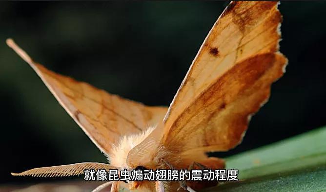 地震有几级,1~10级地震是什么概念