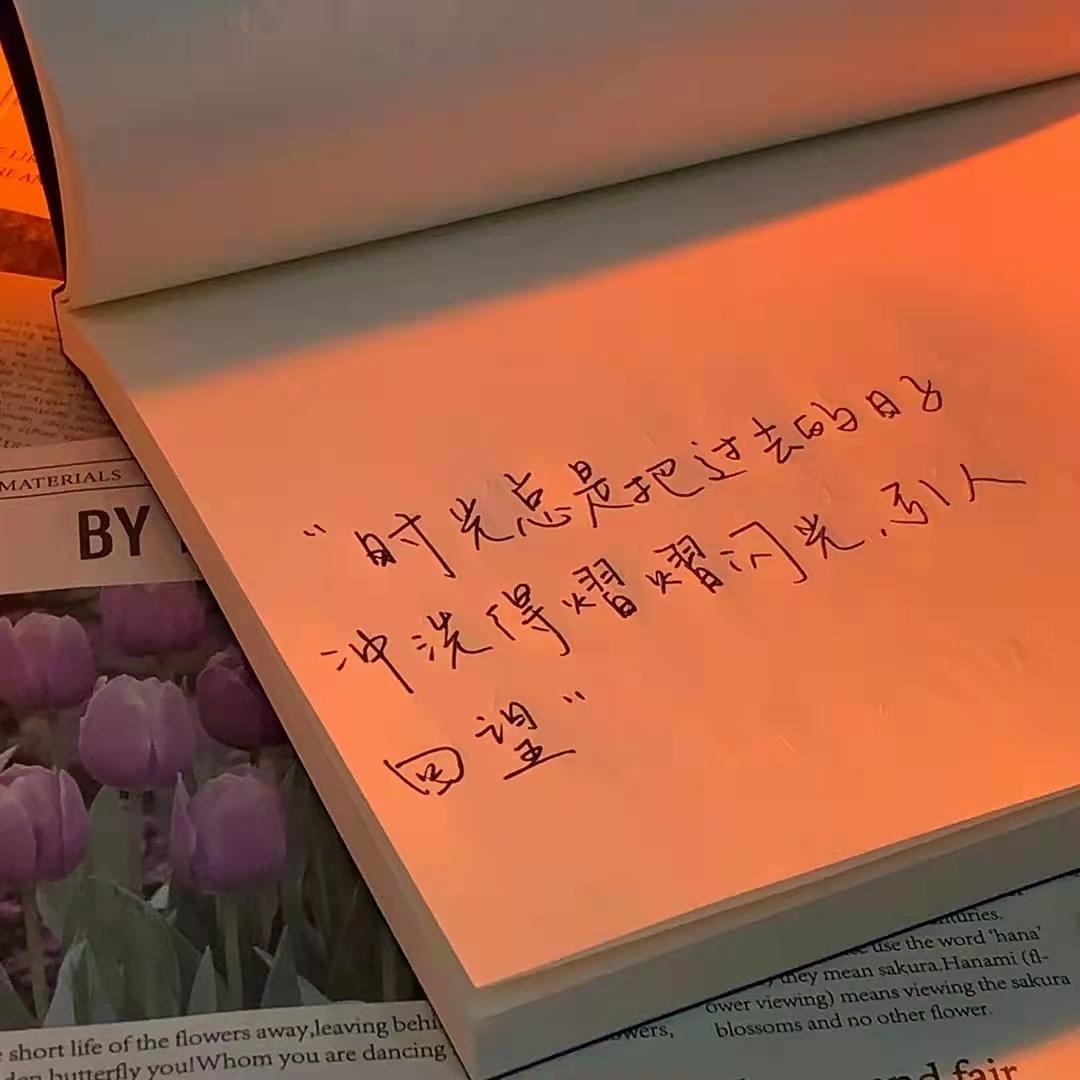 描写时间飞逝的句子60句,光阴易逝,岂容我待