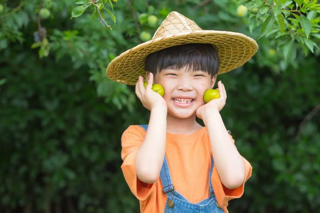 关于劳动的古诗10首,劳动创造幸福生活