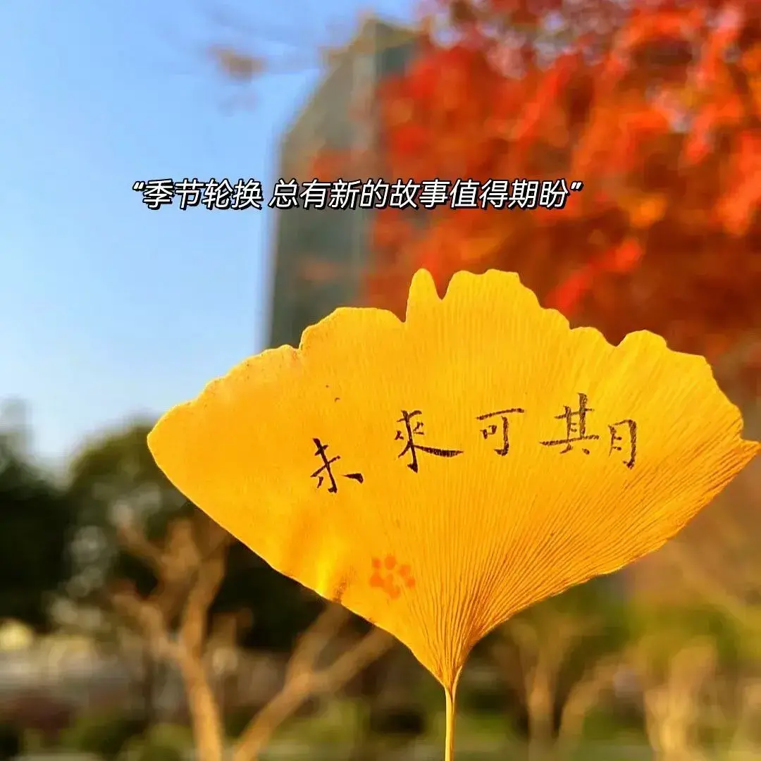 秋天的文案36句,秋天的浪漫文案短句