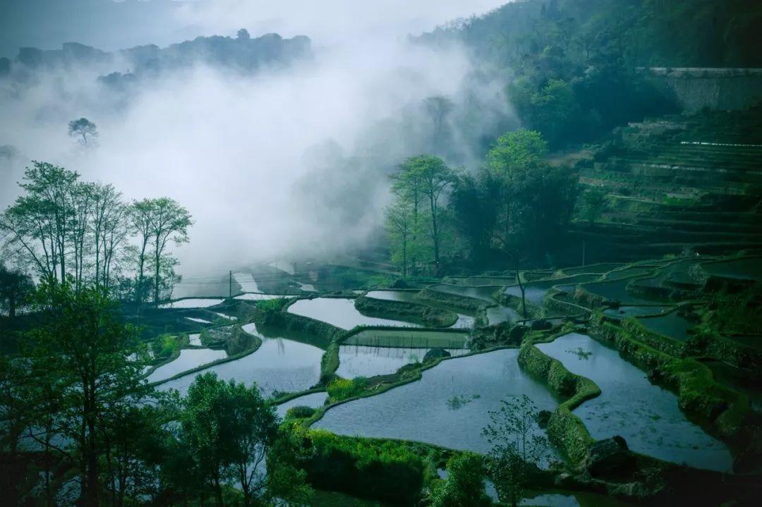 村居古诗9首,田园生活最美丽