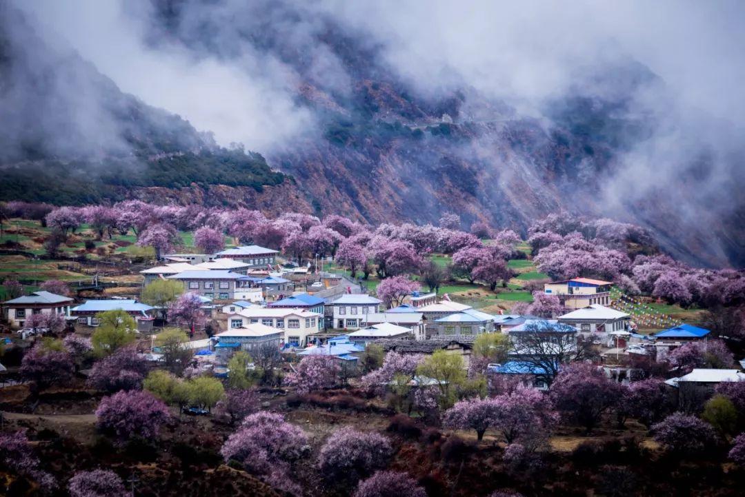村居古诗9首,田园生活最美丽