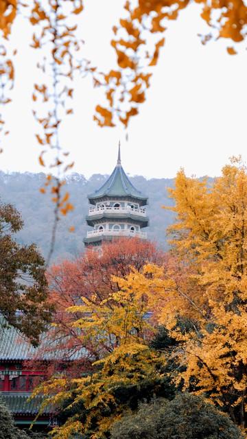 山行杜牧(原文、译文及简析)