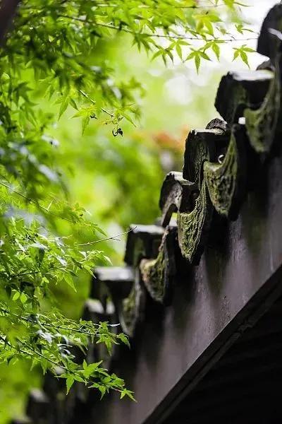关于描写春天的句子11句,春天,真的来了