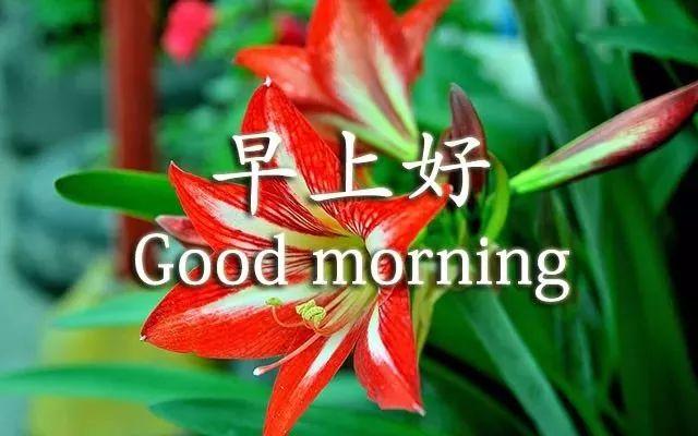 早上好的问候美句11句,暖心早安祝福语