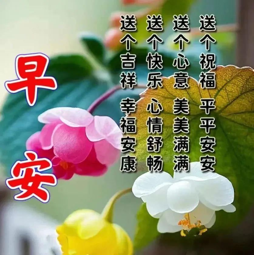 早上好的问候美句11句,暖心早安祝福语