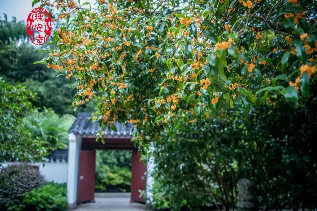 忆江南古诗(原文及赏析)
