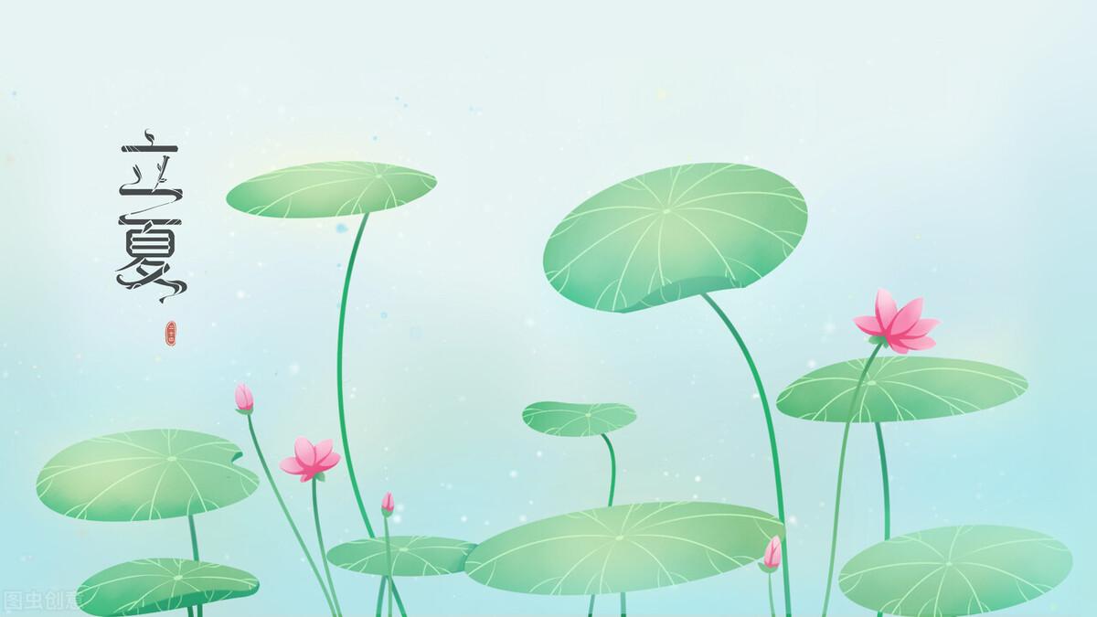 立夏文案短句15句,落花随春去,余香伴夏来