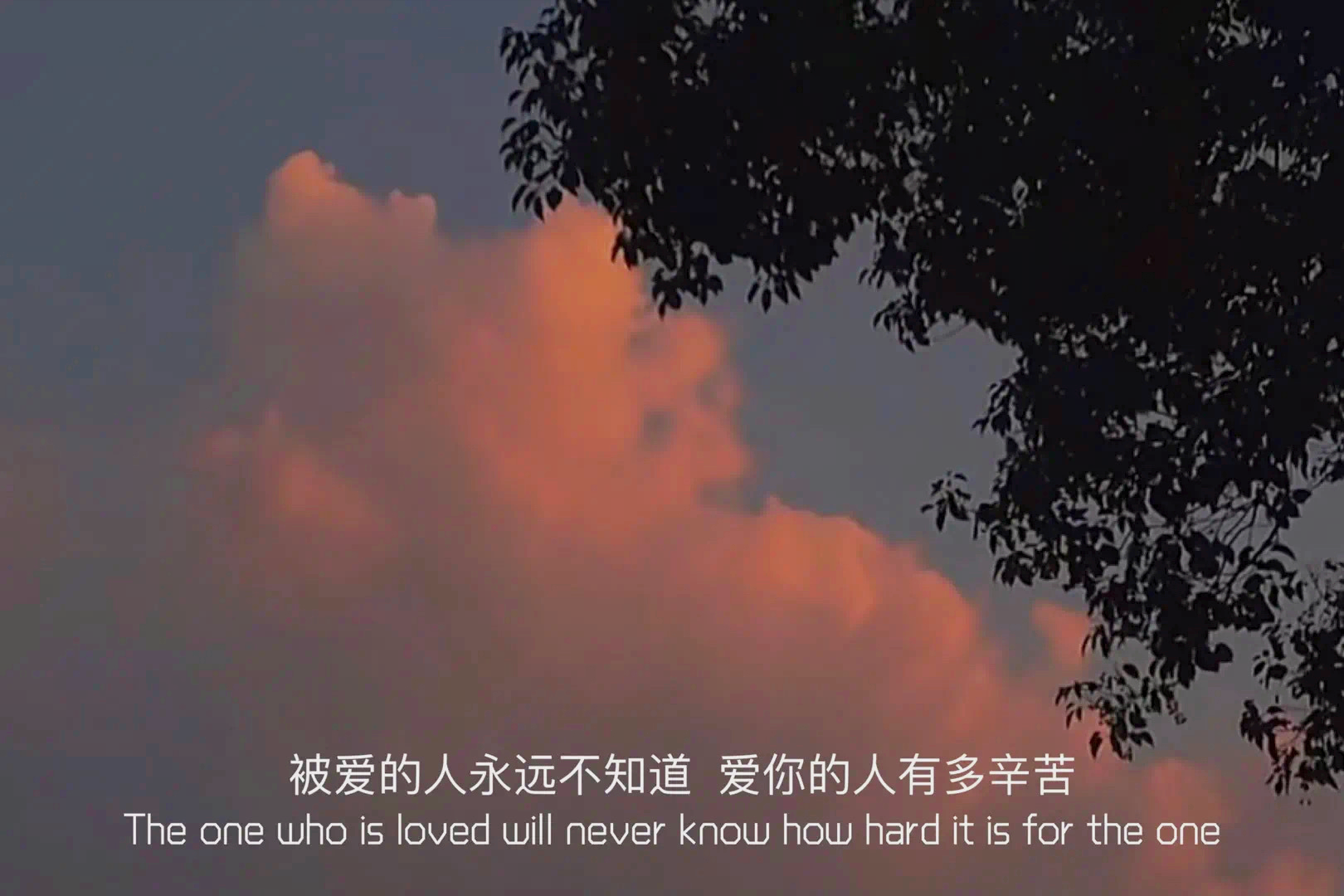 失望的句子35句,失望至极的情绪文案